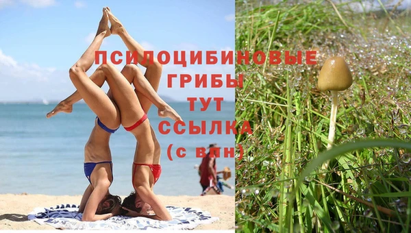 гашиш Абинск
